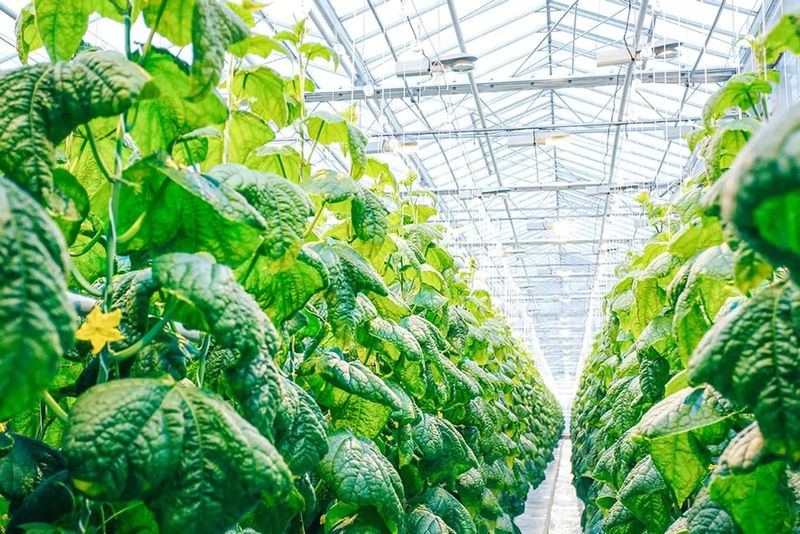 Challenge illustration